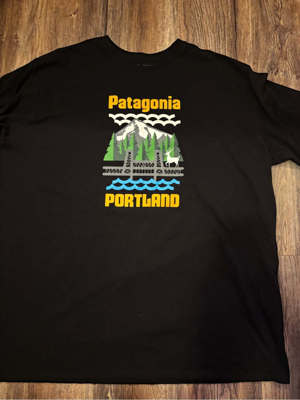 Patagonia Portland Graphic Tee